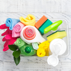 Basic Cleaning Kit